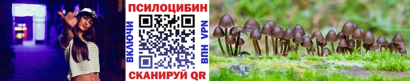 Псилоцибиновые грибы Magic Shrooms  Купить  Нягань 